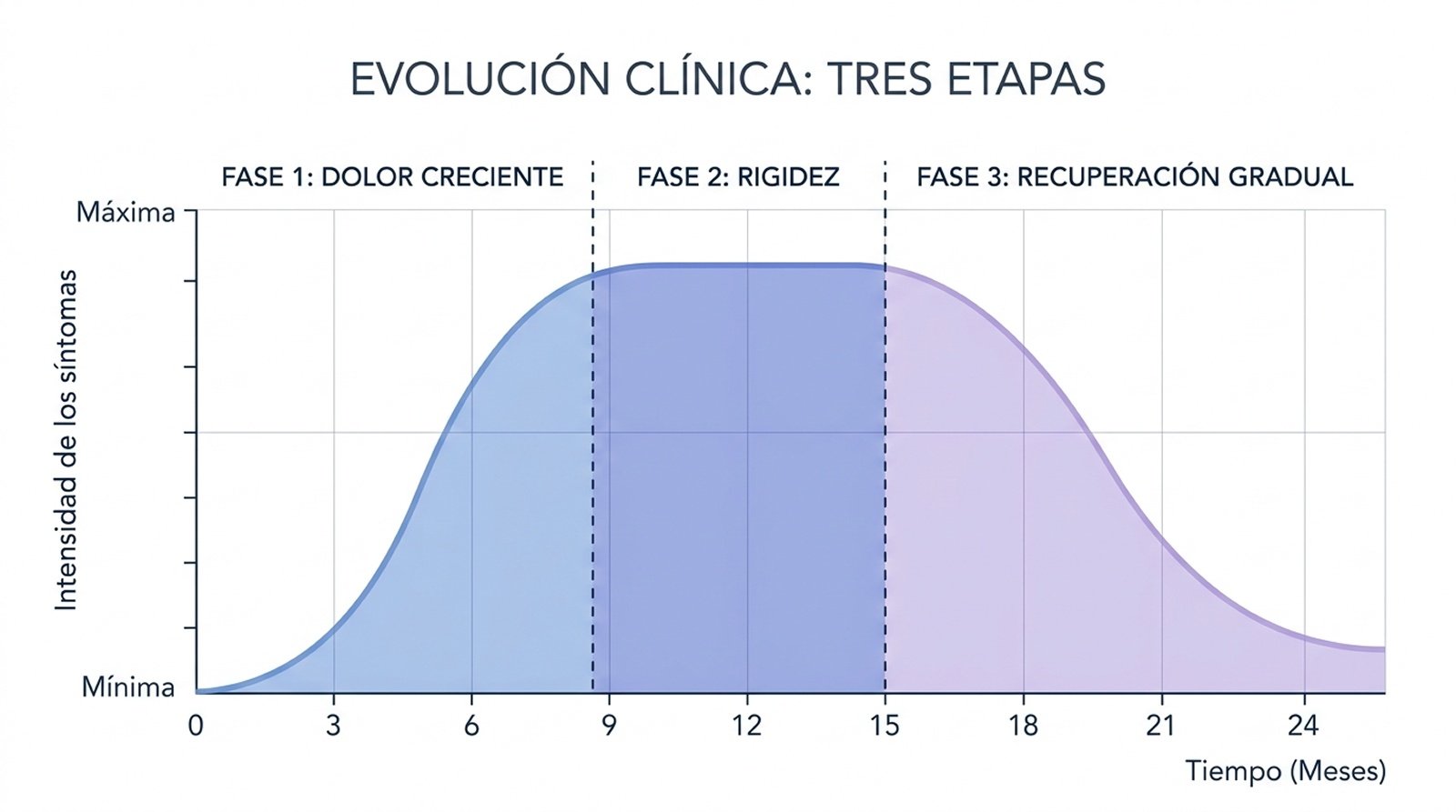 capsulitis adhesiva ejercicios a evitar